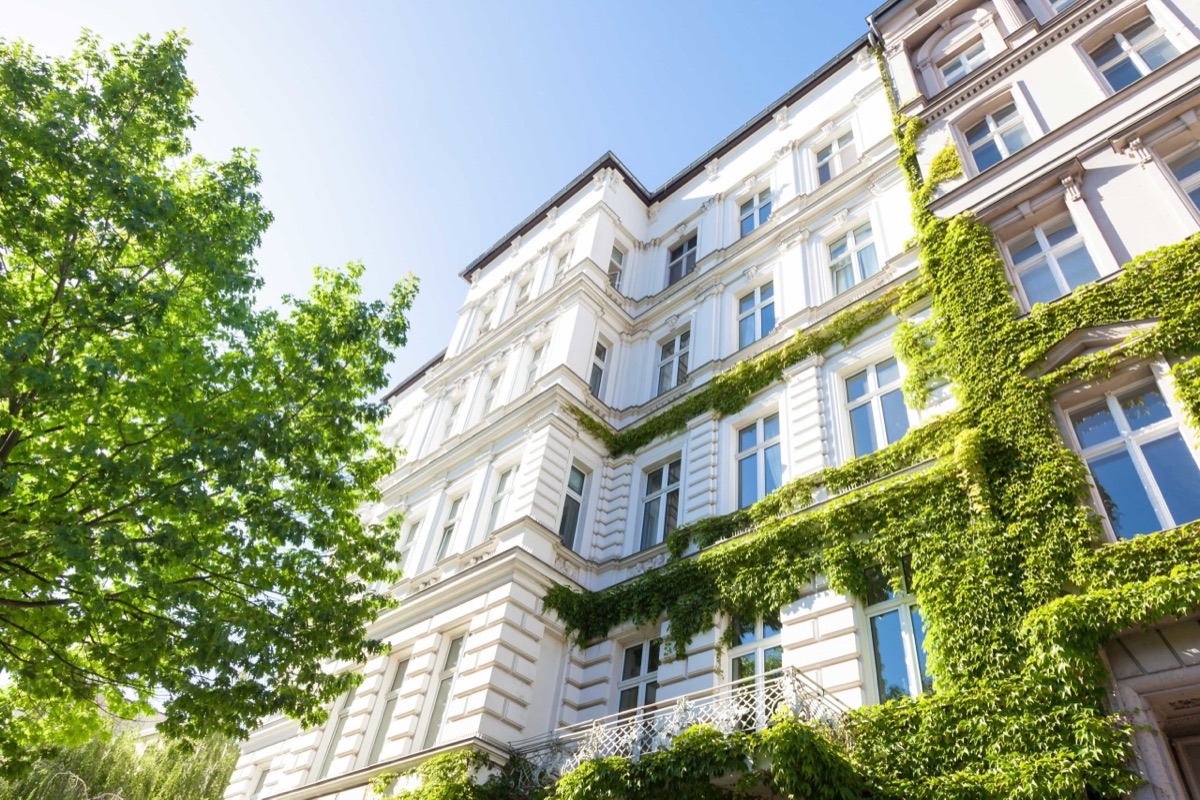 Verkauf und Vermietung: gepflegtes Mehrfamilienhaus